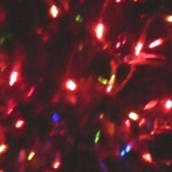 Meet your Posher, Debbie - Picture 1 of 2